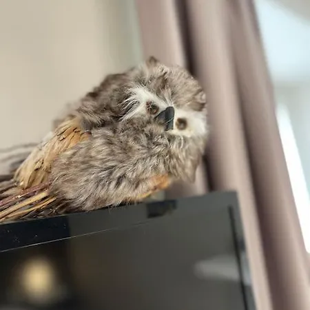 Lejlighed La Taniere De L'ours - L'alcove De L'ours - Cosy 2 Pers