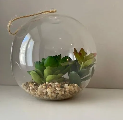 La Taniere De L'ours - L'alcove De L'ours - Cosy 2 Pers