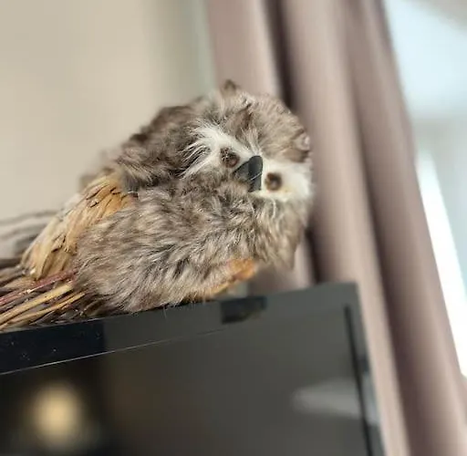 アパート La Taniere De L'ours - L'alcove De L'ours - Cosy 2 Pers