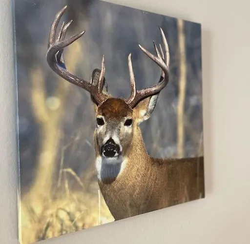 La Taniere De L'ours - L'alcove De L'ours - Cosy 2 Pers