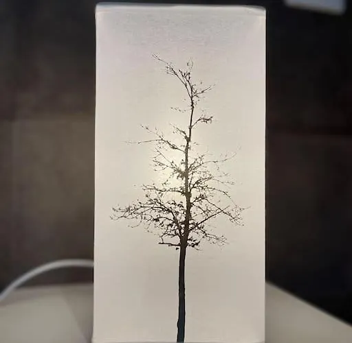 アパート La Taniere De L'ours - L'alcove De L'ours - Cosy 2 Pers