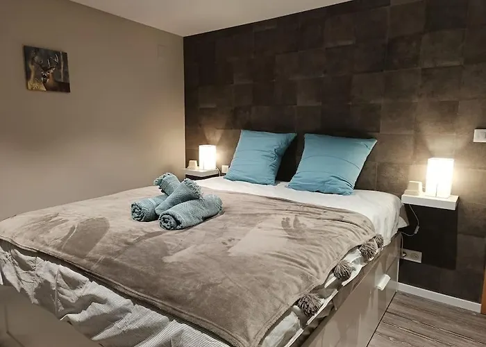 La Taniere De L'ours - L'alcove De L'ours - Cosy 2 Pers Dambach